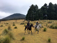 Mexico-Central Mexico-Ajusco Riding Holidays